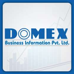 Domex Business Information