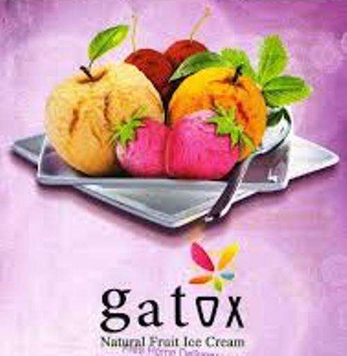 Gatox Natural Ice Cream