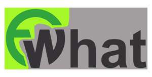 Ewhat Networks