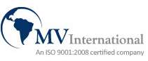 Mv International Industrial Oven