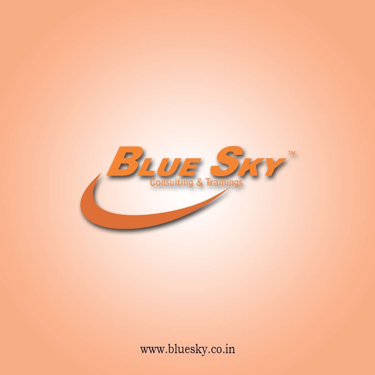 Blue Sky Consulting & Trainings