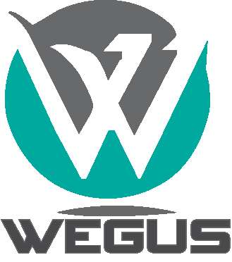 Wegus Infotech Private Limited