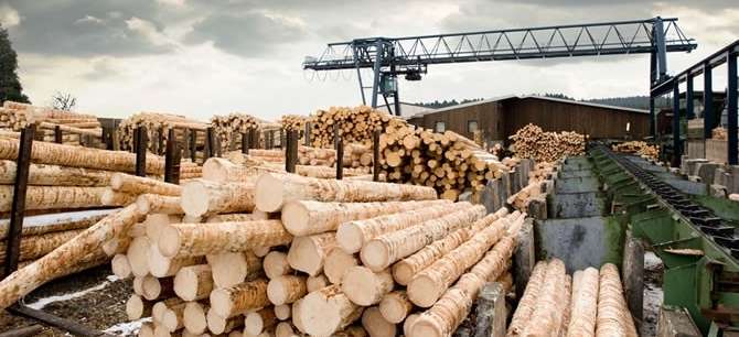 Srinivasa Saw Mill & Timber Depot