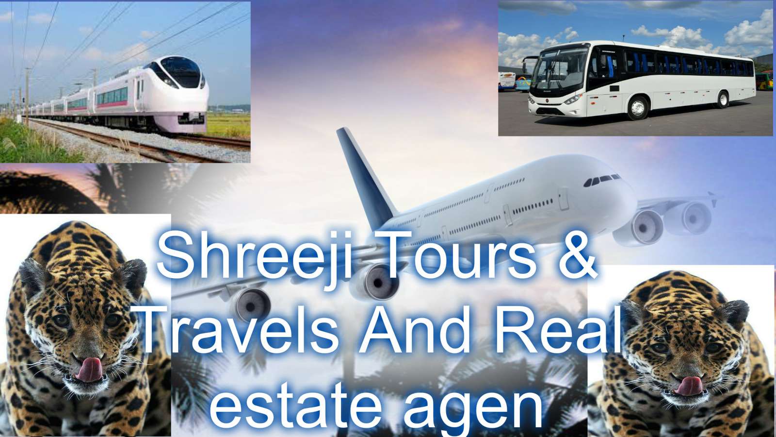 Shreeji Tours & Travels And Real Estate Agent