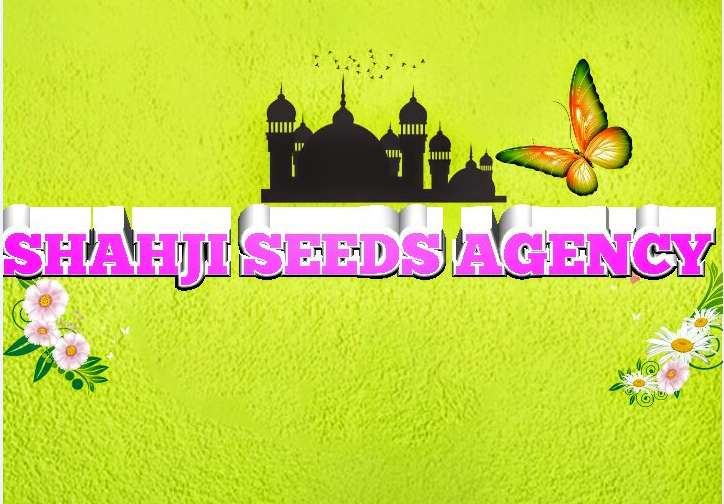 Shah Ji Seed Agency