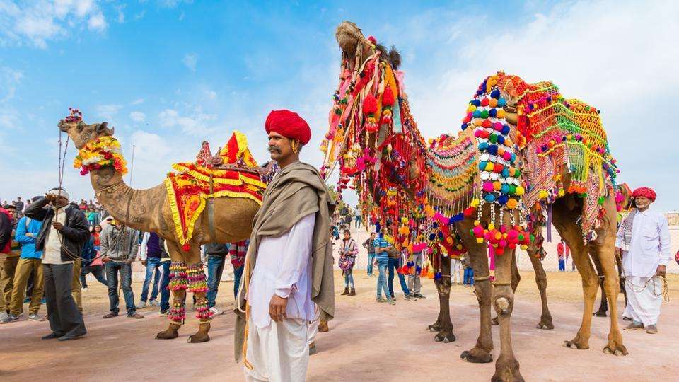 Travel Agency In Jaipur - Colourful Indian Holidays